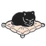cushion black cat